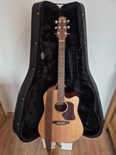 Walden D550CE Elektro