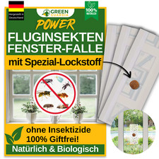 3-9x Fallen - Fenster