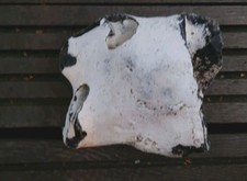 größerer Hühnergott Lochstein Haus Garten Ostsee Glück Deko