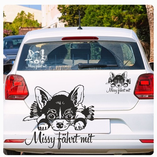 Auto aufkleber chihuahua name - auto,