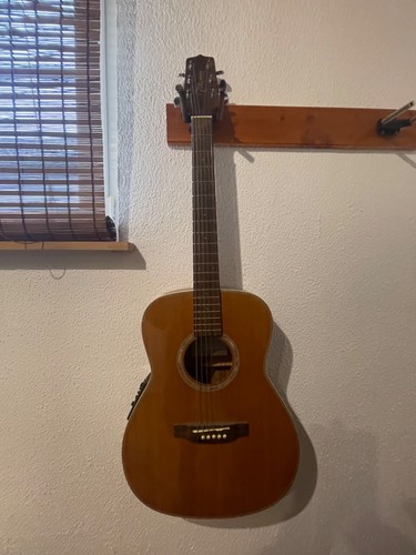 Takamine akustik gitarre - takamine,