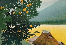 Seiji Sano "Mikan Ripening