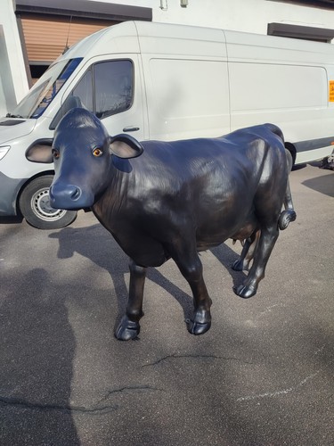 Kuh lebensgroß angus deko - angus,