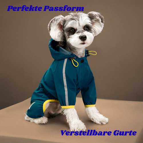 🐶🌧️