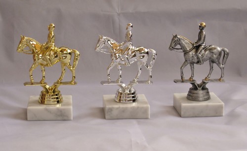 Pokal dressurreiten pferd - dressurreiten,,