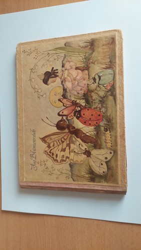 Buch blumenreich ws - buch,
