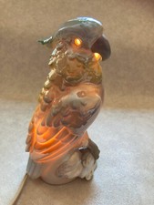 Rauchverzehrer  Hund Katze