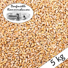 (2,80€/1kg) 5 kg Weizen Gereinigt Hühnerfutter Geflügelfutter Futterweizen Vogel