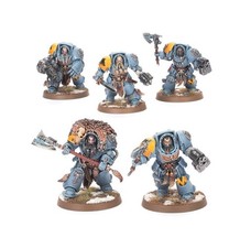 5x Wolf Guard Terminators -