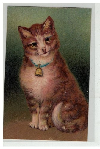 Katze 17128 ein großartig - #17128,