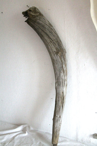 Schwemmholz treibholz skulptur - treibholz,