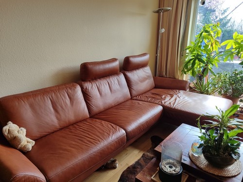 Ledercouch schelling cognac - ledercouch,