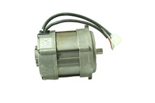RIELLO 3008964 MOTOR 172T 7698