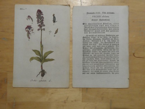 Orig - .(ca., 1800,sturm)