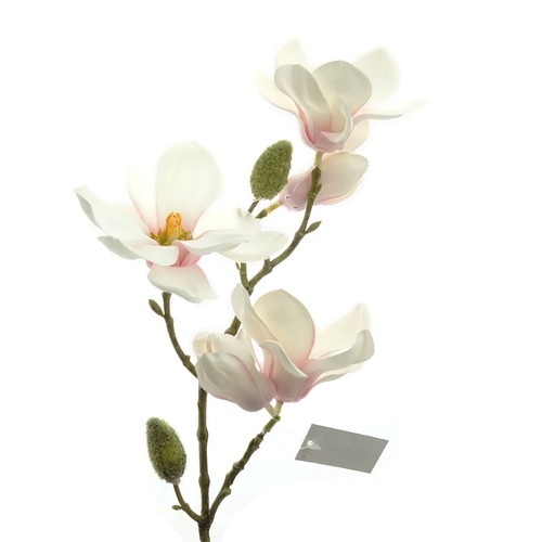 Dpi magnolienzweig weiß - weiß, mit