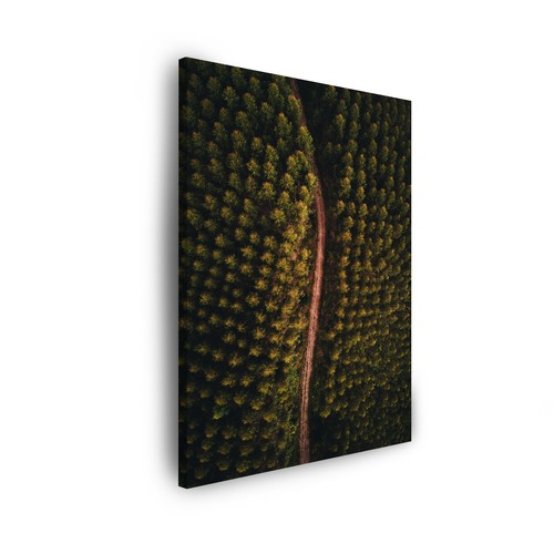 Leinwand bilder natur - leinwand-bilder:,