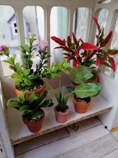5 versch.Mini-Pflanzen  Im Tontopf, f.zb.Blumenladen,Wintergarten Puppenstube 