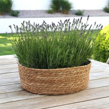 Pflanzschale SEASON braun