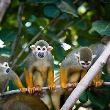 3T Städtereise Leipzig |