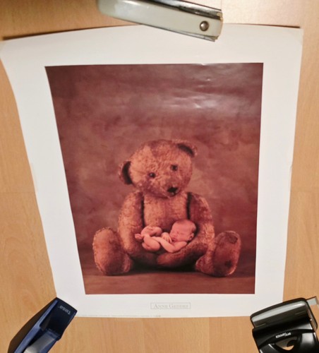 Baby teddy poster - poster, anne
