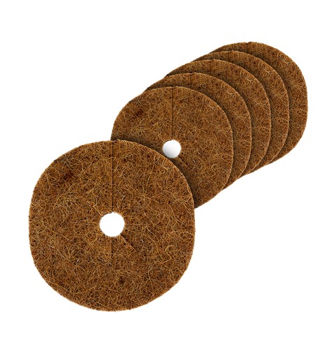 Kokos pflanzen schutz - kokos,