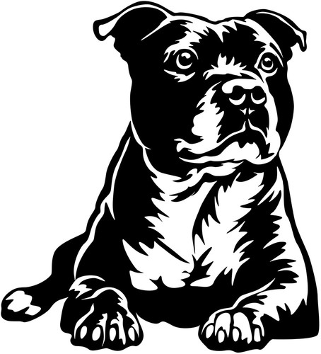 Staffordshire bullterrier - staffordshire,