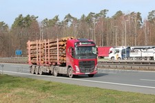 LKW Foto Volvo FH Langholz-Transporter Deutschland rot Burder HOLZ | Holz #m2iw