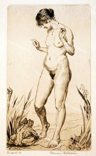Hermann kätelhön hofgeismar - hermann,