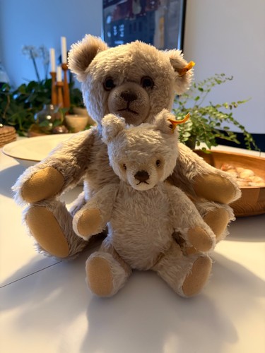 Steiff teddybären 2er - steiff, 2er-set