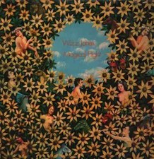 Wizz Jones Magical Flight