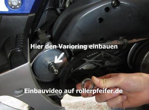 Mofadrossel kmh alle rex - alle,