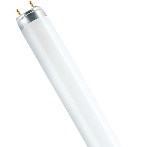 Leuchtstofflampe röhre 150cm - röhre,