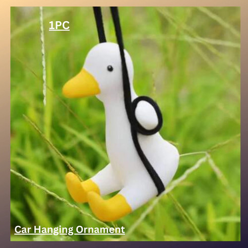 Schaukel gans auto lustige - schaukel,