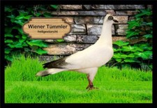 Fußmatte Schmutzfangmatte