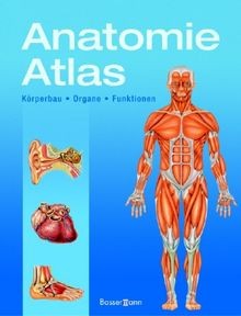 Anatomie atlas körperbau - körperbau,