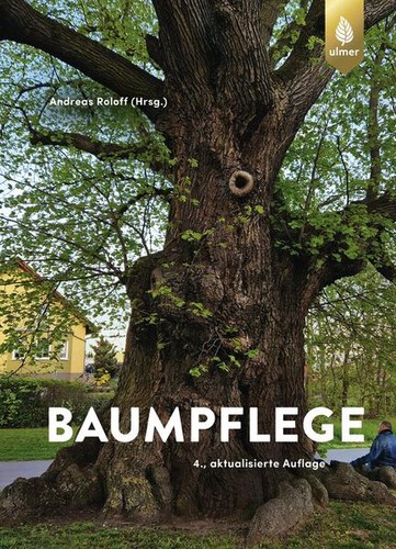 Baumpflege andreas roloff - andreas,