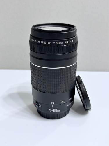 Canon 300 4 5 - ef, mm