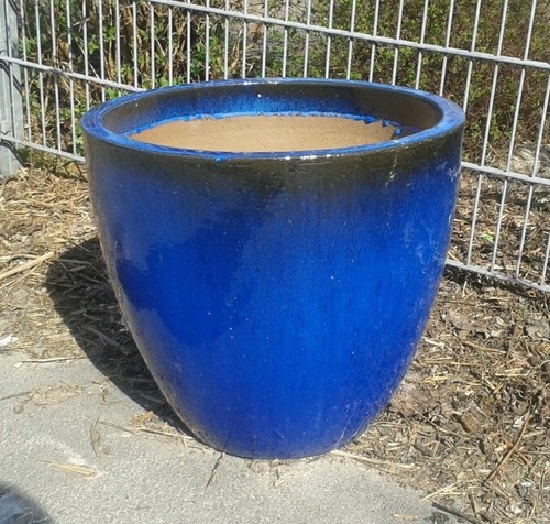 Großer winterfester