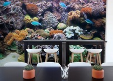 3D Ozean Koralle Fisch Q3547