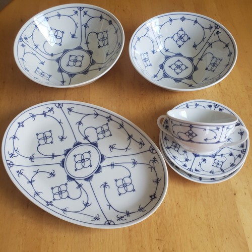 Winterling indisch blau - winterling,