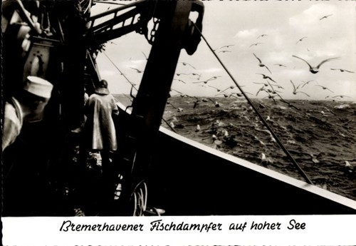 Bremerhavener fischdampfer - ak,