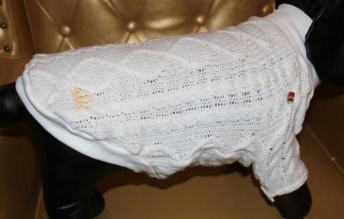 9569_Angeldog_Hundekleidung_Hu