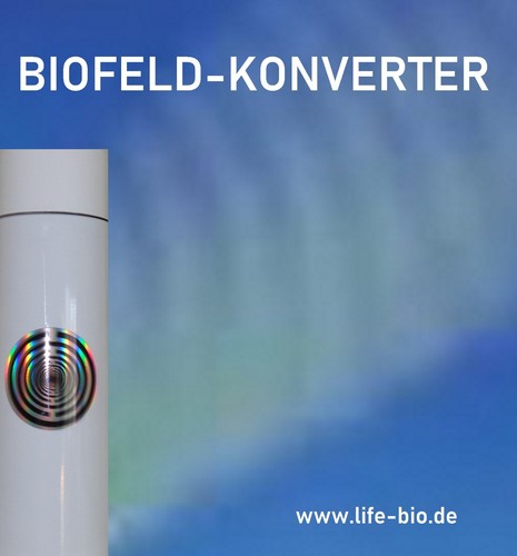 Lebensfeld-Konverter