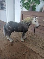 Percheron hengst pferd 13623 - percheron,