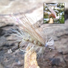 Gilchrist Fliegen. 3 x ELK