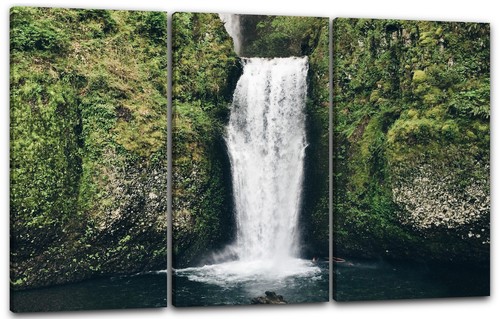 Wandbild naturbilder - wandbild,