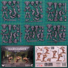 Blood Angels Sanguiniusgarde