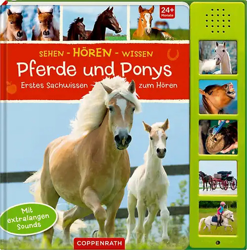 Sehen hören wissen - sehen,