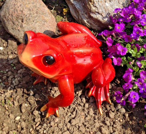 Frosch unke kröte groß - xl,