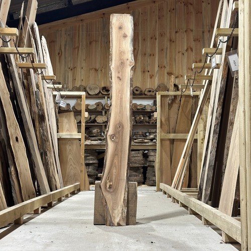 Ulme bohle brett waney live - brett,